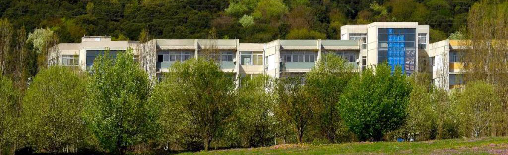 Παιδαγωγικό Τμήμα Δημοτικής Εκπαίδευσης, Πανεπιστήμιο Ιωαννίνων